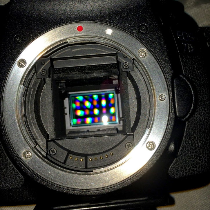 A Canon 7D body with the lens removed